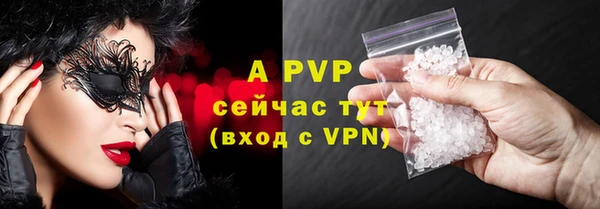 сатива Вуктыл