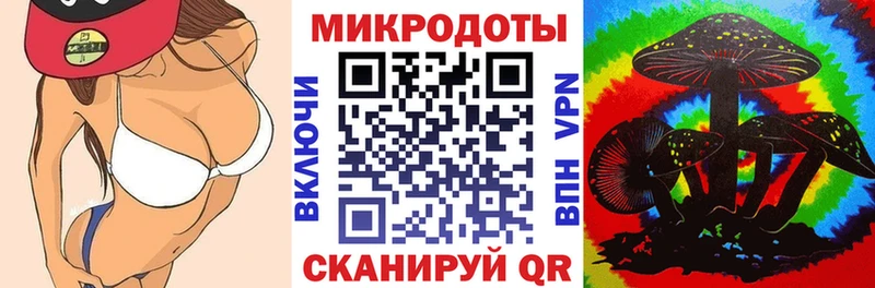 хочу   Бакал  Псилоцибиновые грибы Psilocybine cubensis 